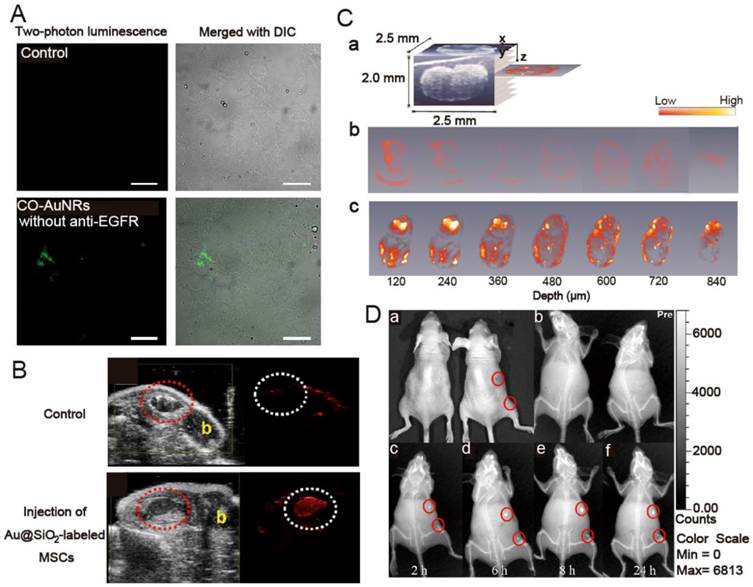 Theranostics Image