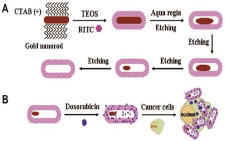 Theranostics Image