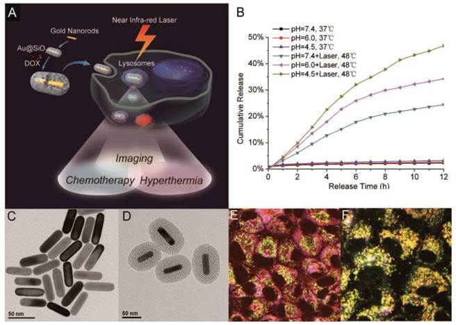 Theranostics Image