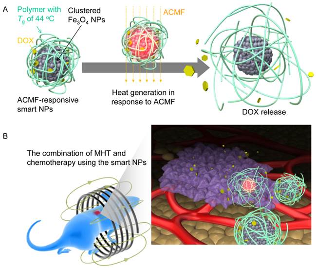 Responsive Smart Nanoparticles for Cancer Treatment with a