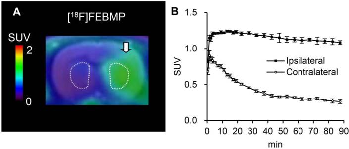 Theranostics Image