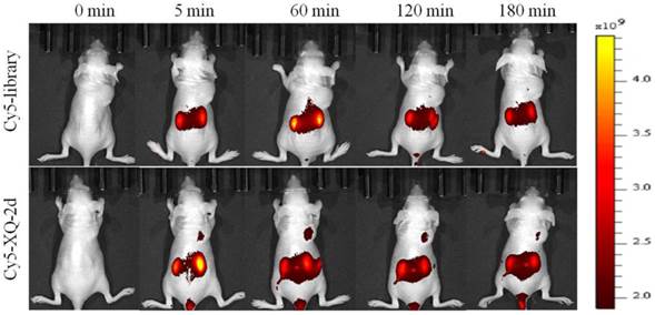 Theranostics Image