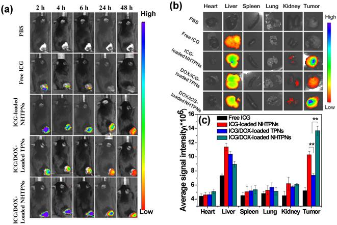 Theranostics Image