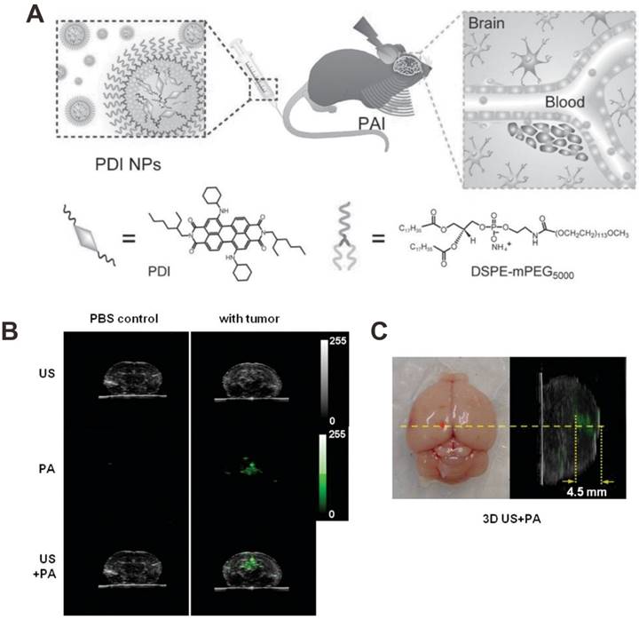 Theranostics Image