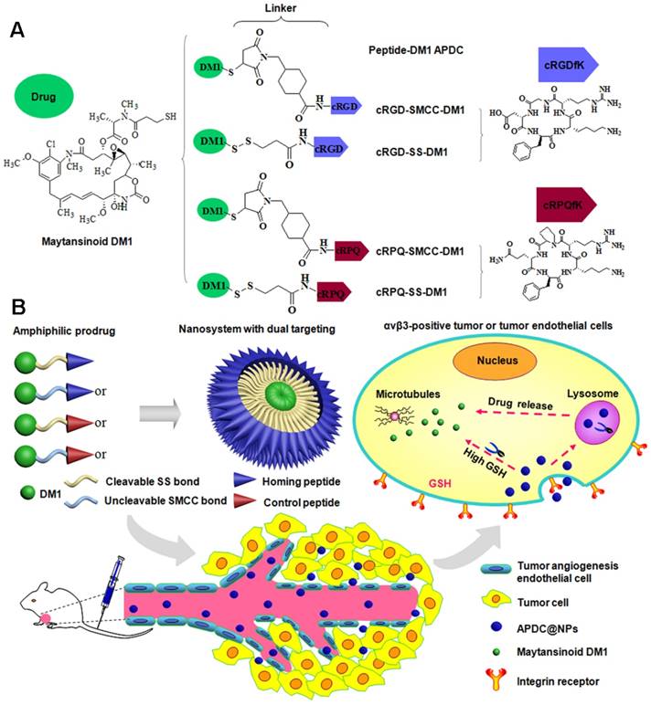 Theranostics Image