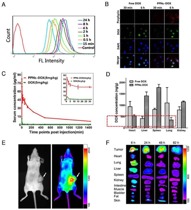 Theranostics Image