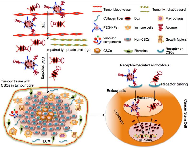 Theranostics Image