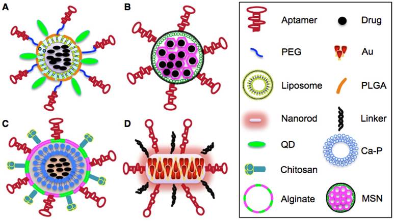 Theranostics Image