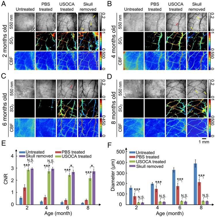 Theranostics Image