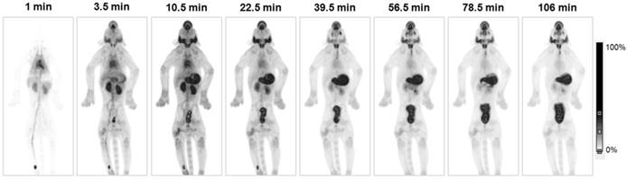 Theranostics Image