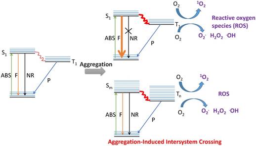 Theranostics Image