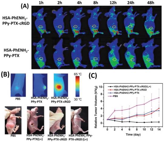 Theranostics Image