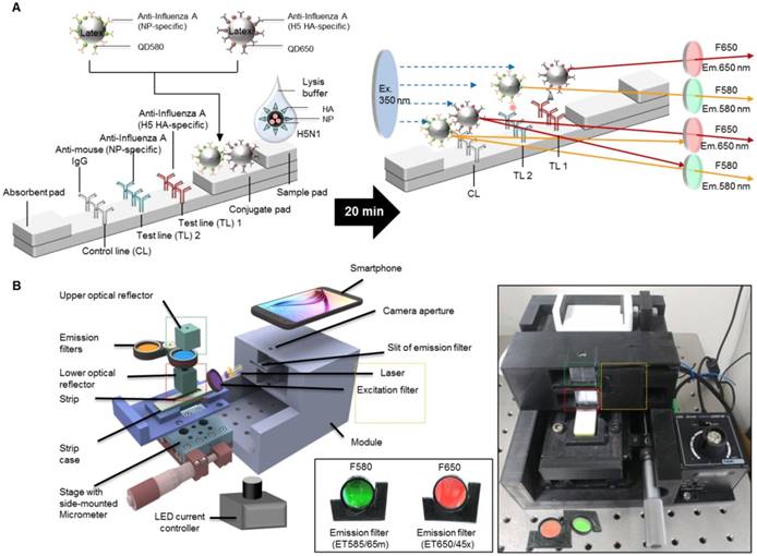 Theranostics Image