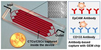 Theranostics Image