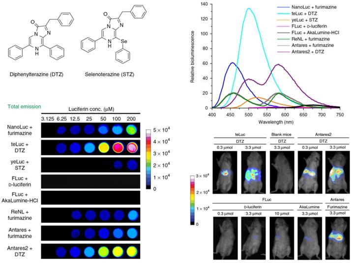 Theranostics Image