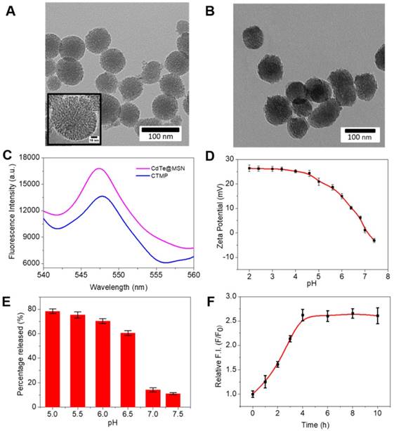 Theranostics Image