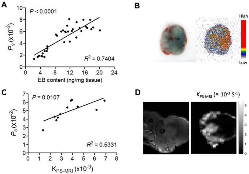 Tumor Quantification in Clinical Positron Emission Tomography