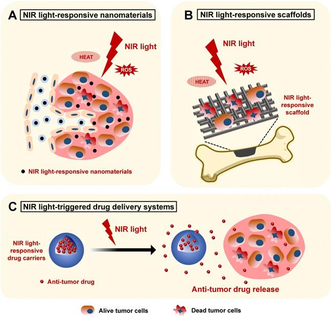 NIR lightassisted phototherapies for bonerelated diseases and bone