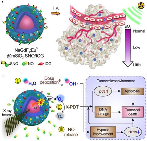 Nanoscintillator-Mediated X-Ray Induced Photodynamic Therapy For Deep ...