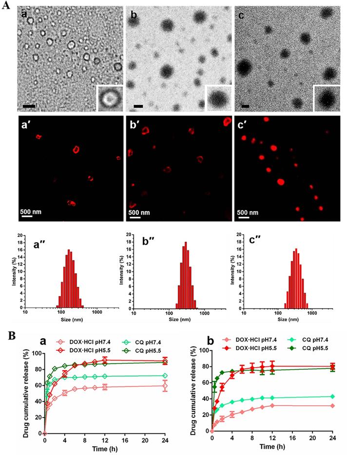 Drug Induced Self Assembled Nanovesicles For Doxorubicin Resistance