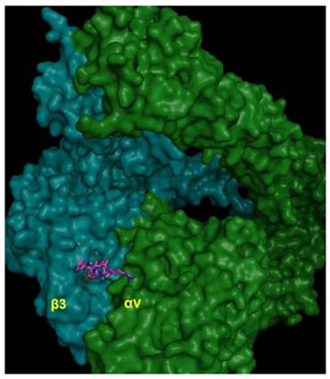 Theranostics Image