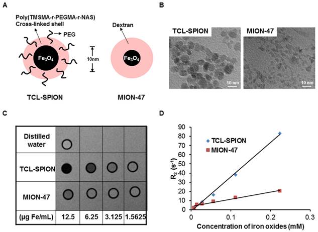 Theranostics Image