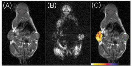 Theranostics Image