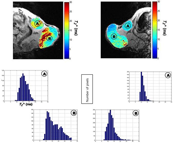 Theranostics Image