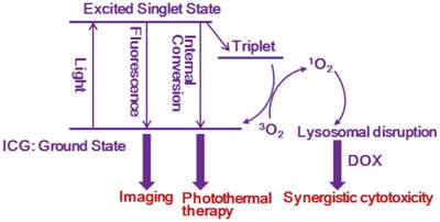 Theranostics Image