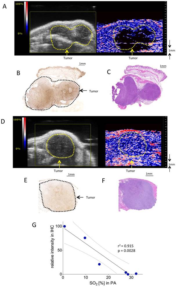 Theranostics Image