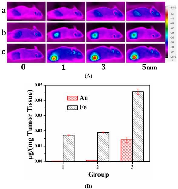 Theranostics Image