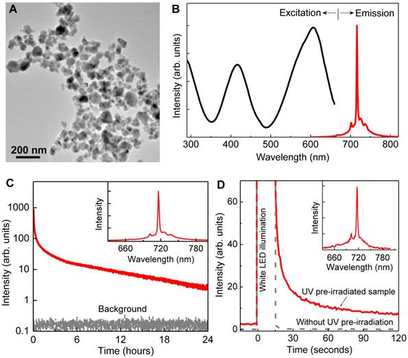 Theranostics Image