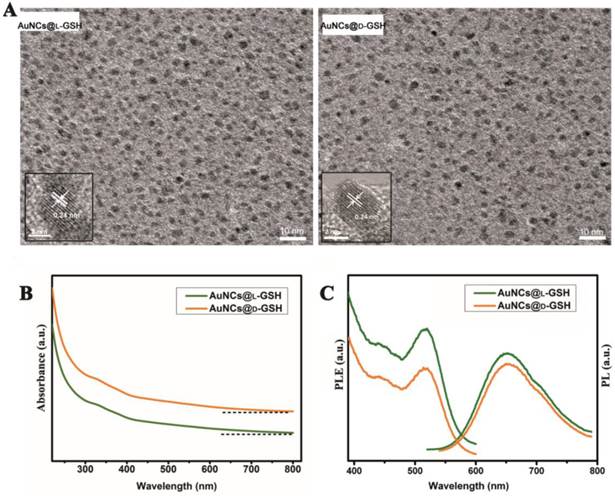 Theranostics Image