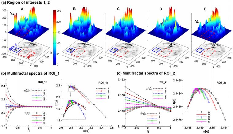 Theranostics Image