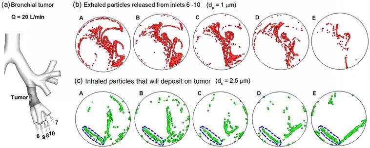 Theranostics Image