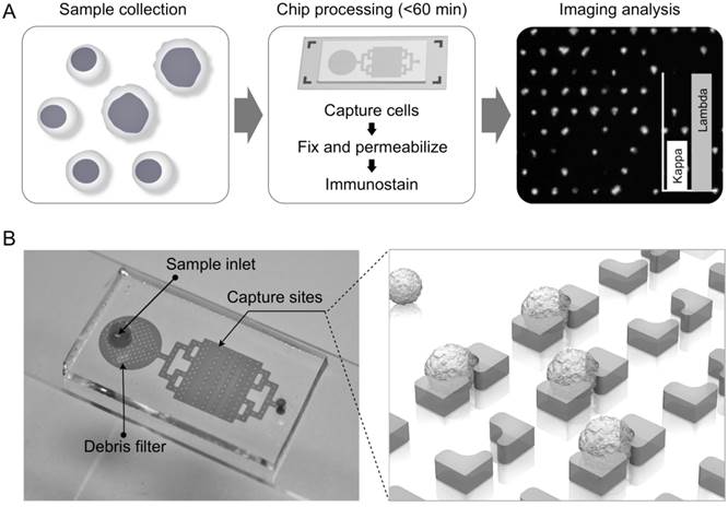 Theranostics Image