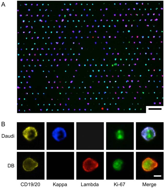 Theranostics Image