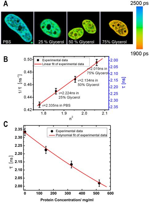 Theranostics Image