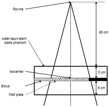 Theranostics Image