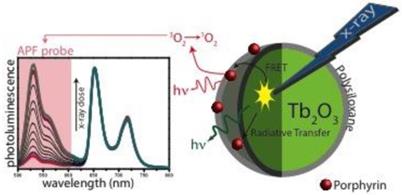 Theranostics Image