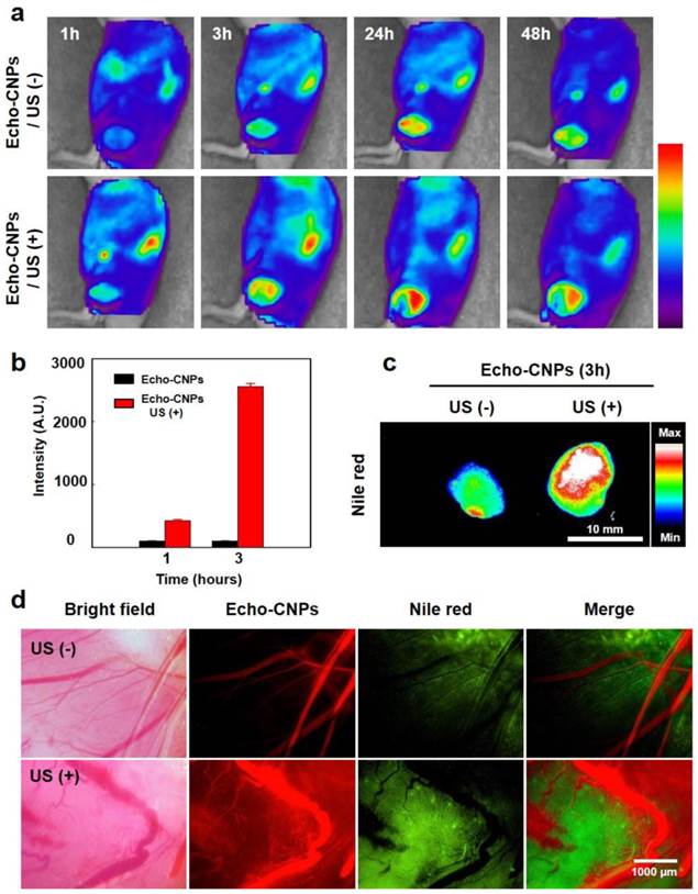 Theranostics Image