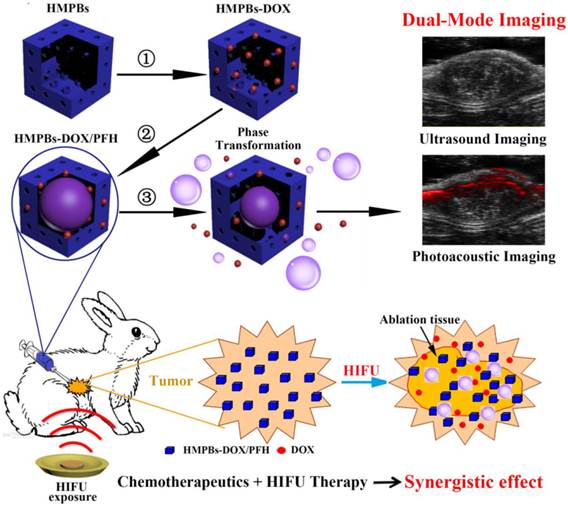 Theranostics Image