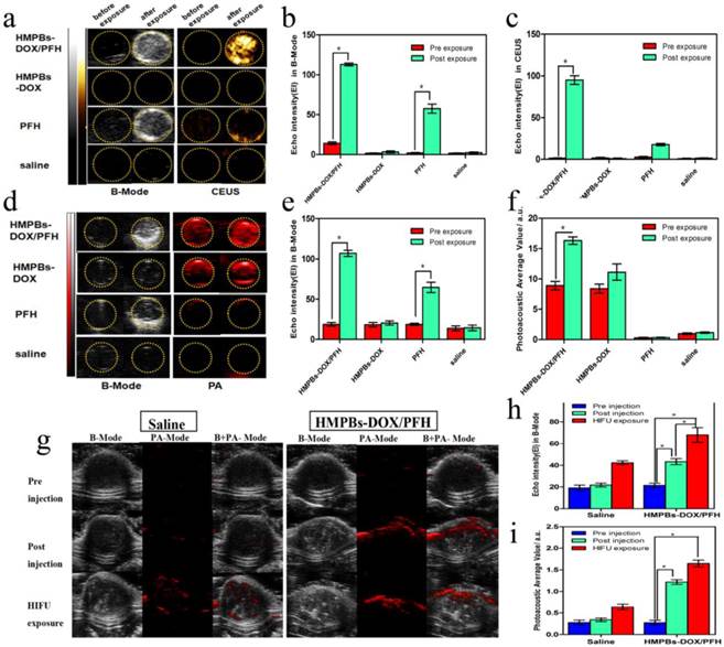 Theranostics Image