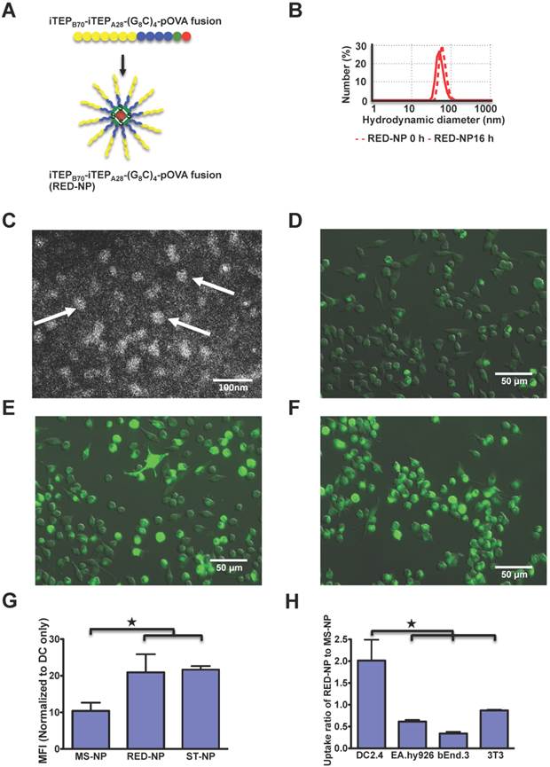 Theranostics Image