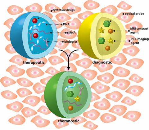 Progress in the Development of Nanotheranostic Systems