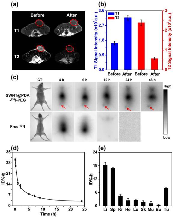 Theranostics Image