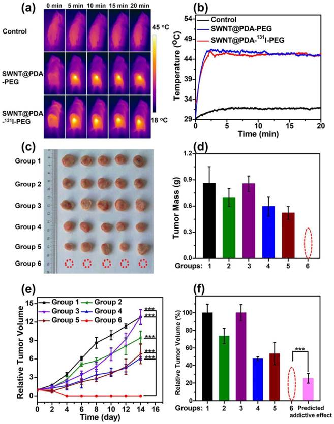 Theranostics Image