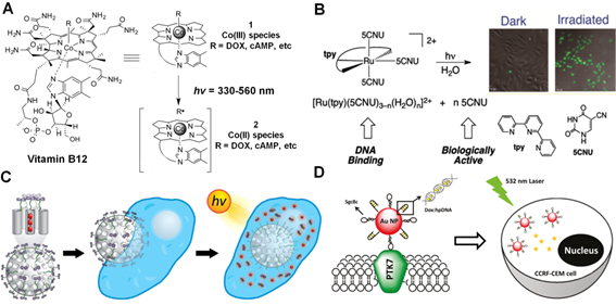 Recent Advances of Light-Mediated Theranostics