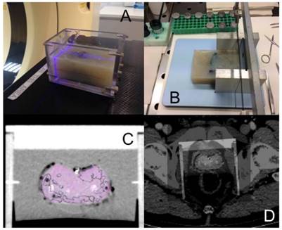 Theranostics Image