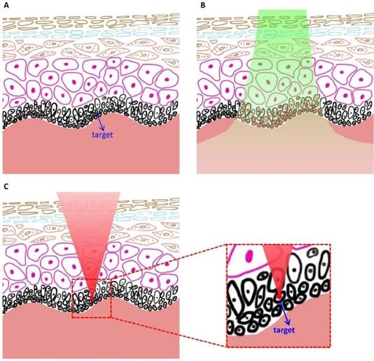 Theranostics Image